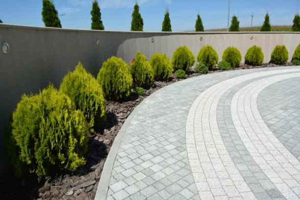 Best Driveway Resurfacing Pavers  in Woodbine, NJ